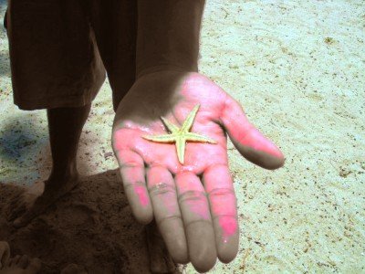 Logen holding a starfish